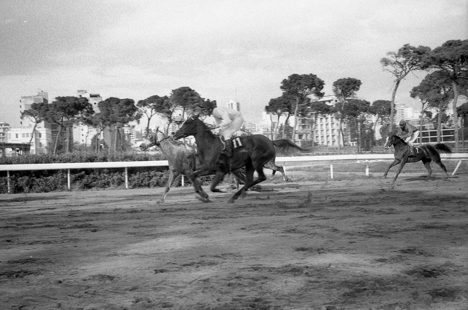 hany-tamba-hippodrome-jockey-2-beirut