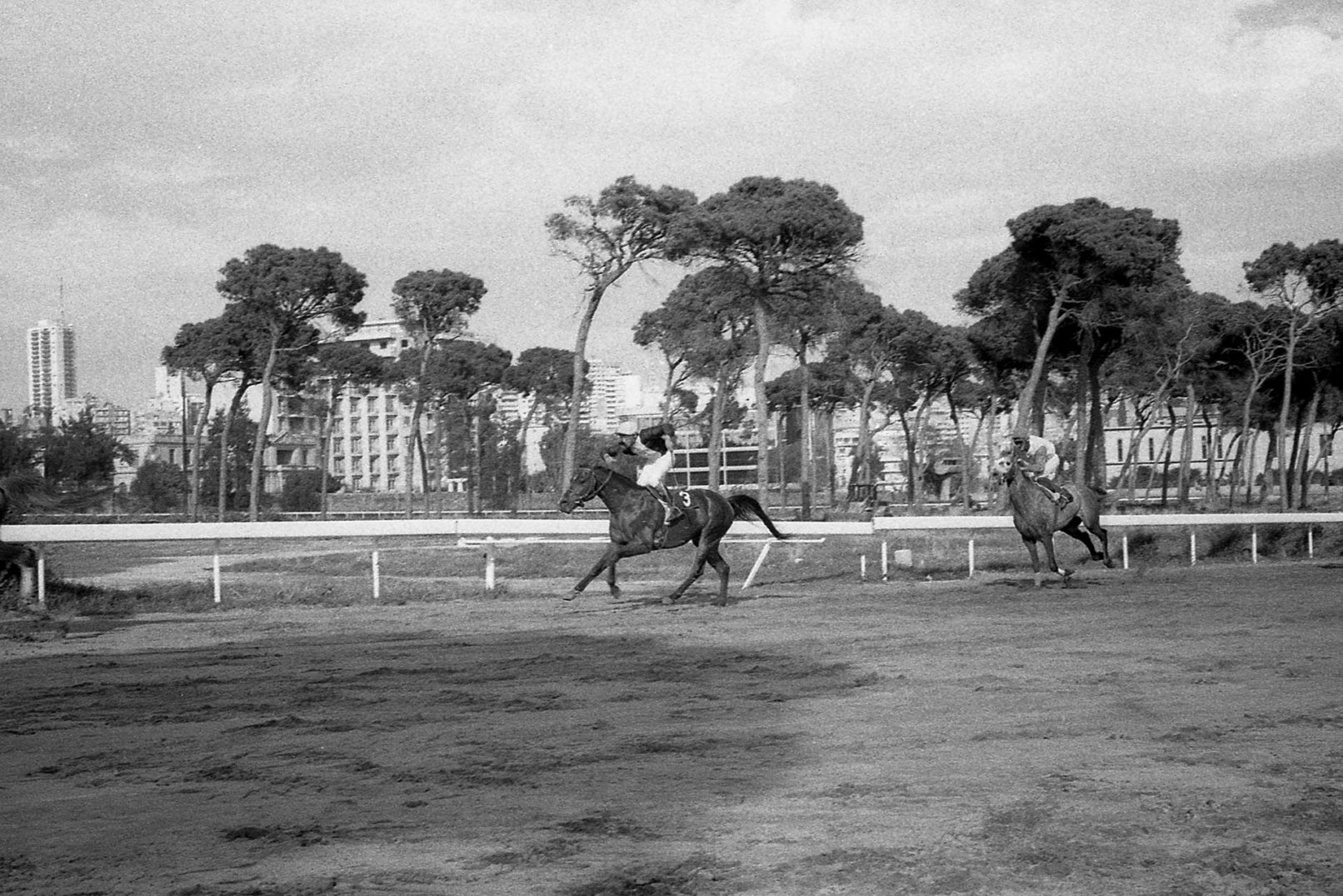 hany-tamba-hippodrome-jockey-beirut.